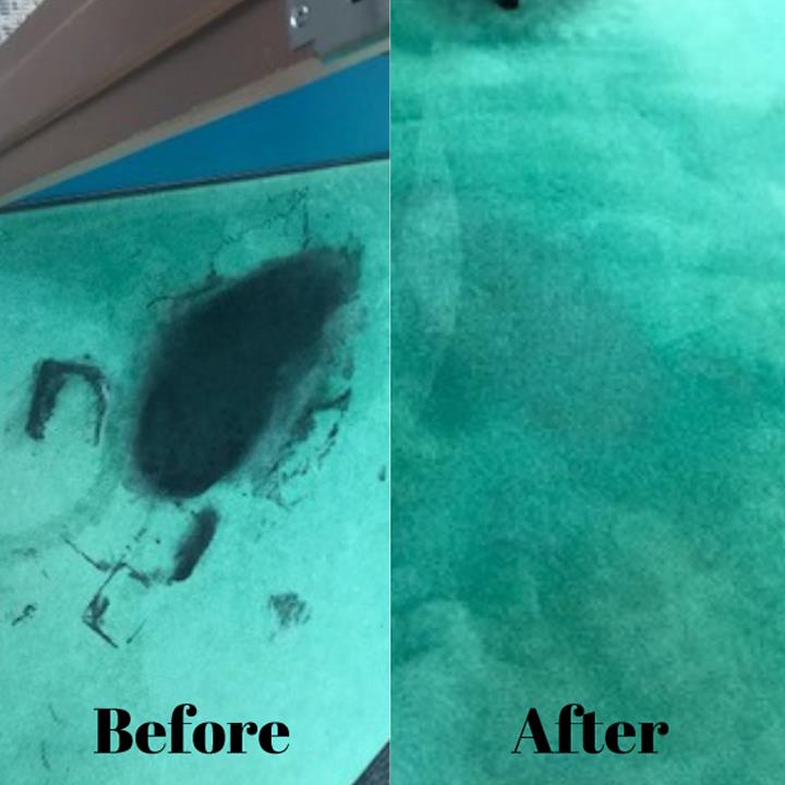 Scott's Carpet & Upholstery Cleaning Red Wing, MN